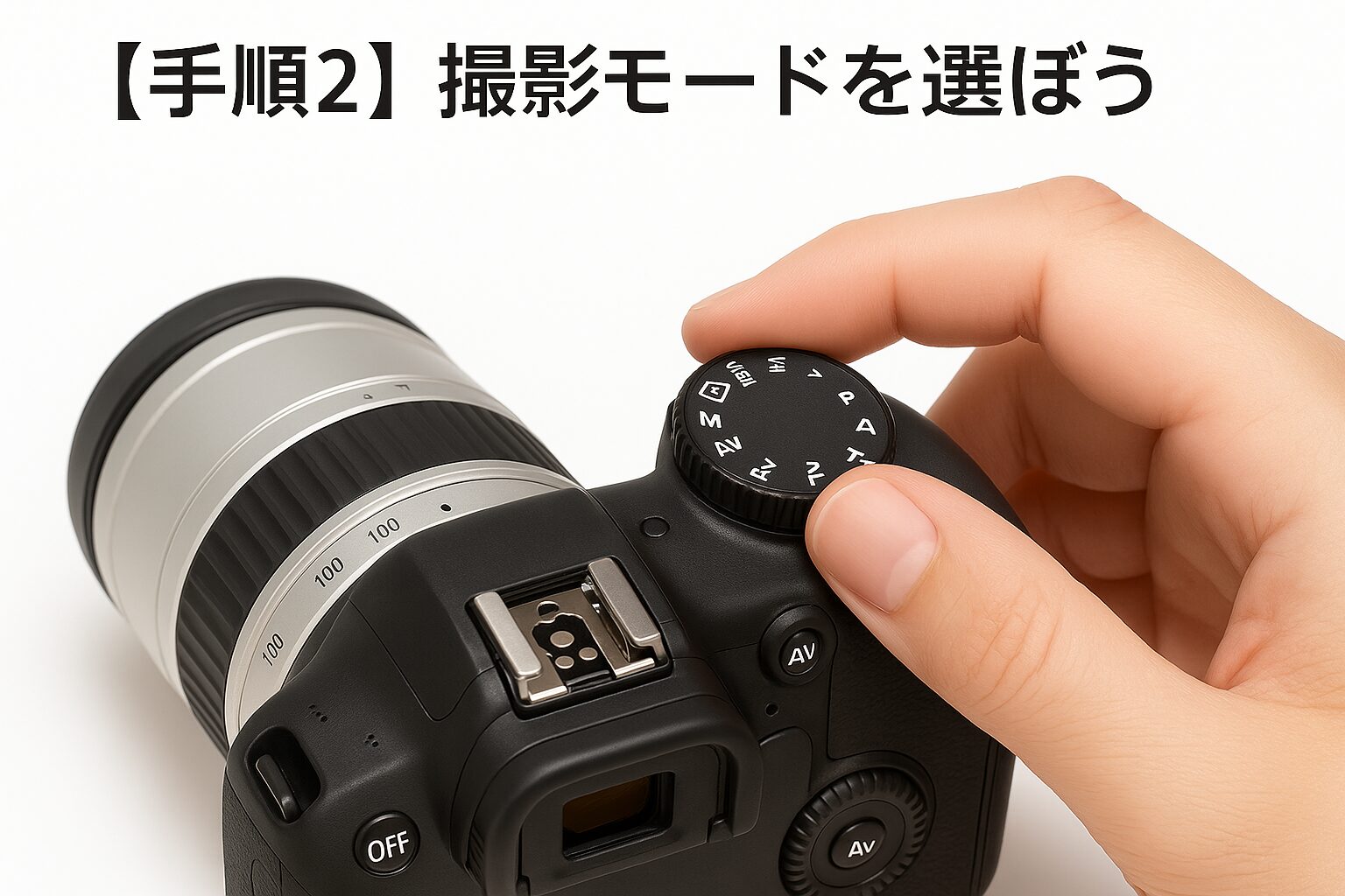 Canon EF 75-300mm F4-5.6 II USM』の魅力を徹底解説！300mmの迫力