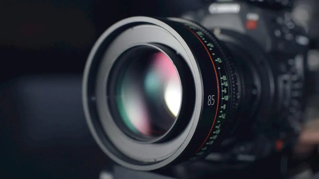 Canon EF 75-300mm F4-5.6 II USM』の魅力を徹底解説！300mmの迫力