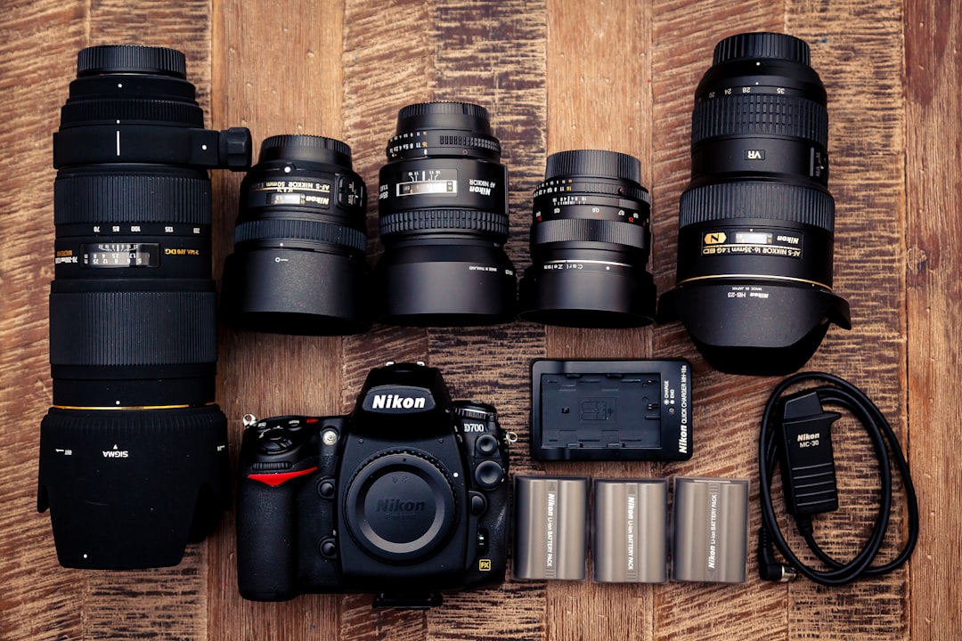 Canon EF 90-300mm F4.5-5.6 USM』の魅力を徹底解説！扱いやすさと望遠