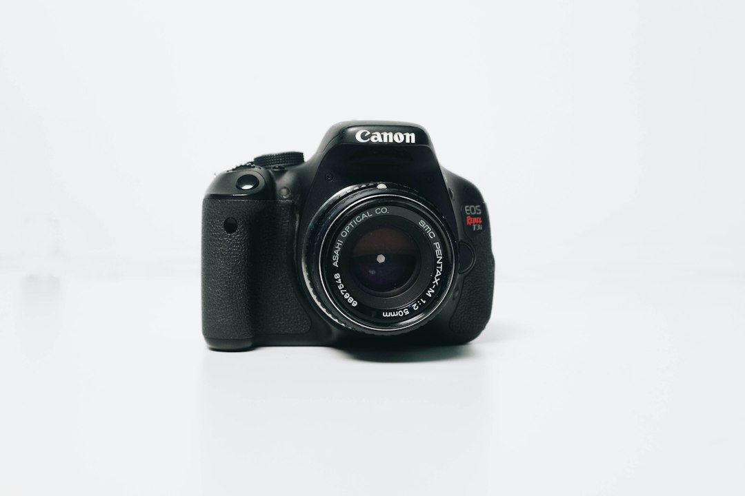 中古で狙う「型落ちフルサイズ」|価格が落ち着いた名機の見極め方